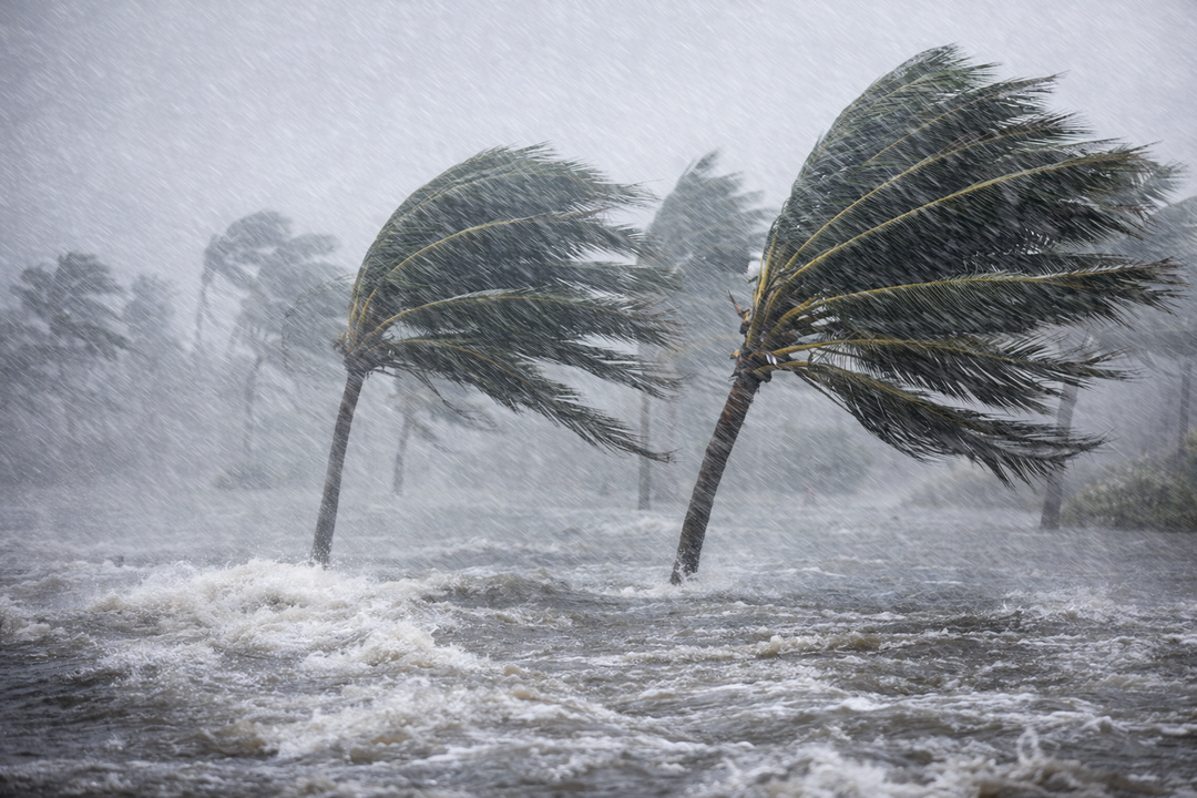 US Food Supply Disaster Series: Hurricane Irma (September 2017, Florida and Southeastern U.S.)